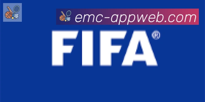 EMC易倍体育合作伙伴